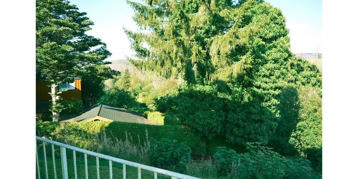 Etagenwohnung Braunlage Sankt Andreasberg - 1 Zimmer, 20 m&sup2;, 25.000&euro; | Angebot:26414500