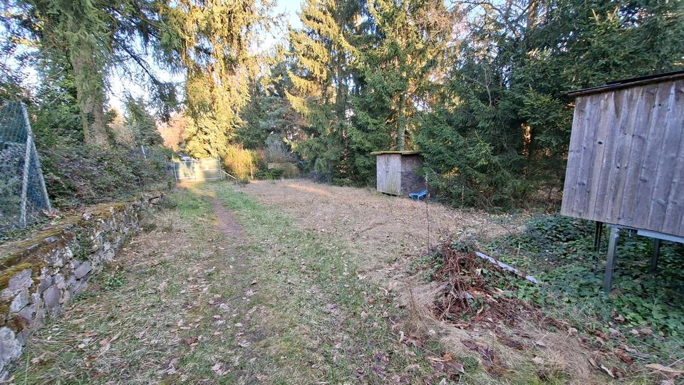 Einfamilienhaus Bad Dürkheim - 44.000&euro; | Angebot:25907623