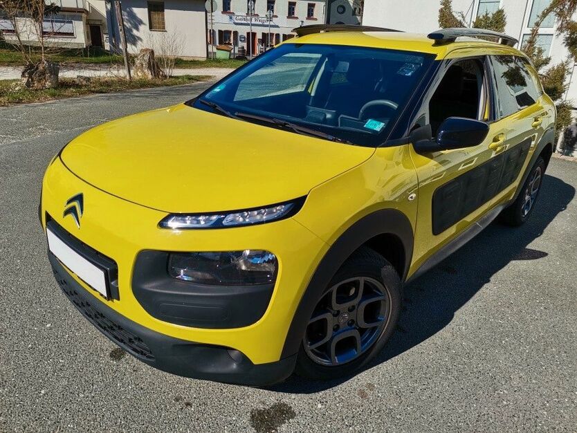 C4 Cactus