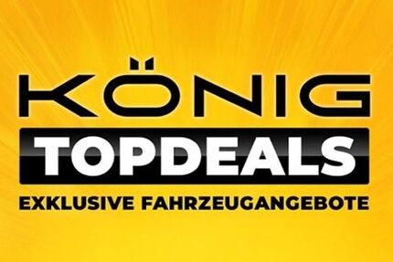 Dacia Spring 19.530 km 9.499 &euro; Magdeburg 39128