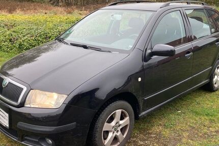 Skoda Fabia 138.850 km 2.485 &euro; Rheine 48432