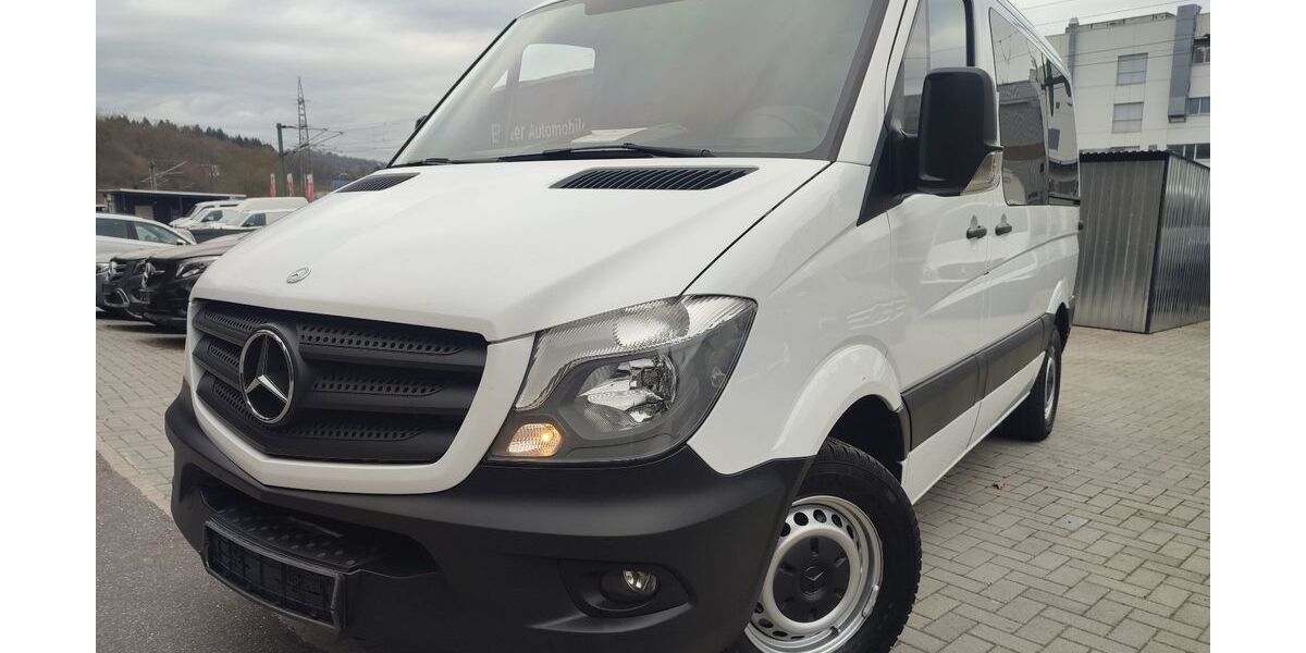 Mercedes-Benz Sprinter 258.928 km 17.797 &euro; Birkenfeld 75217