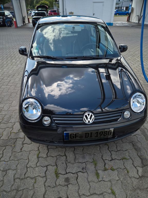 Lupo