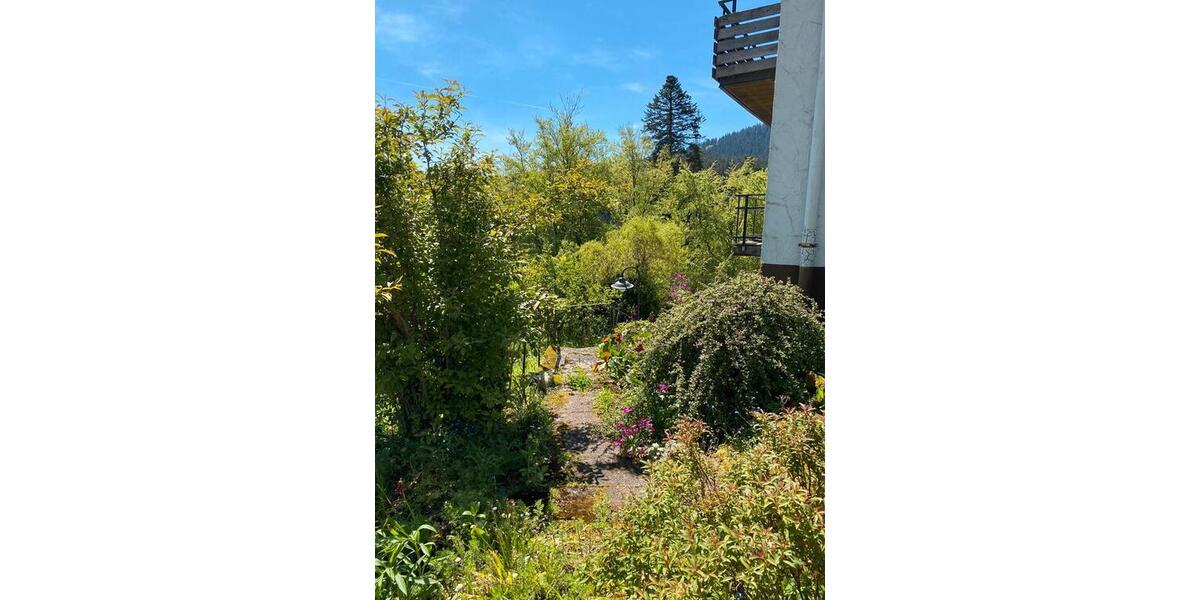 Mehrfamilienhaus Nordschwarzwald 12 zimmer