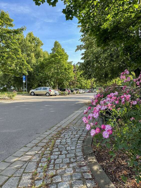 7,22 % Sollrendite - Frisch sanierte 3-Zimmer-Wohnung mit Balkon im Leipziger Neuseenland 3 zimmer