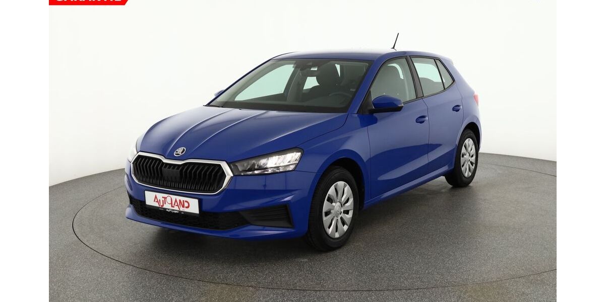 Skoda Fabia 23.041 km 16.990 &euro; Dresden 01069