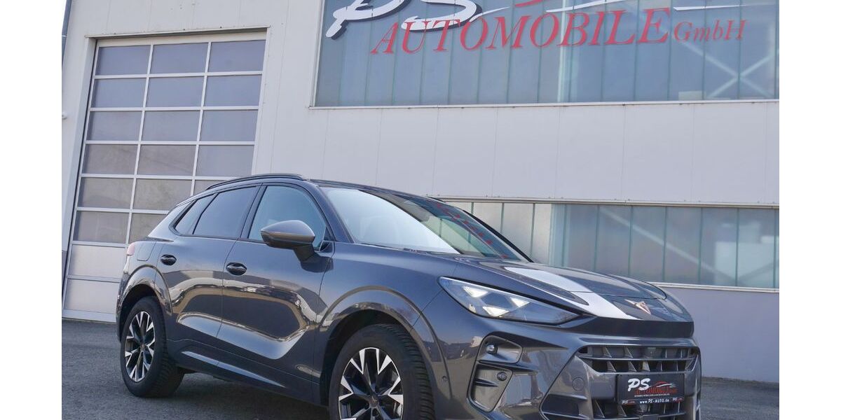 Cupra Terramar 21.800 km 31.888 &euro; Wülfershausen 97618