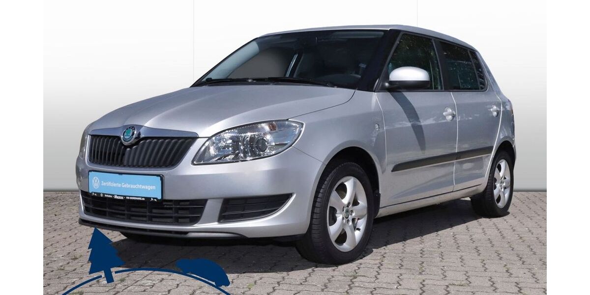 Skoda Fabia 39.500 km 6.790 &euro; Schladen 38315