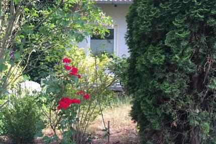 Haus Thale - 7 Zimmer, 100 m&sup2;, 180.000&euro; | Angebot:25517130