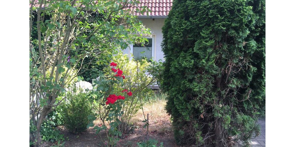 Reihenhaus Thale - 7 Zimmer, 100 m&sup2;, 180.000&euro; | Angebot:25517130