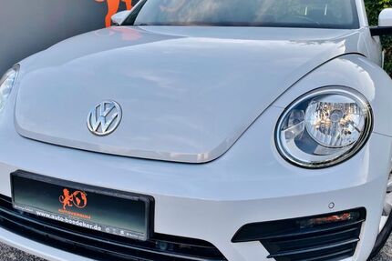 VW Beetle 53.000 km 13.890 € Liederbach am Taunus 65835