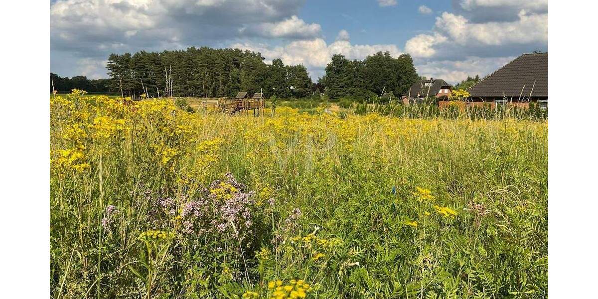 Grundstück Soltendieck - 75.000&euro; | Angebot:25670762
