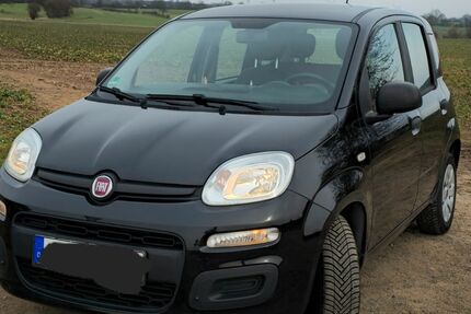 Fiat New Panda 118.996 km 4.599 &euro; Westerrade 23815