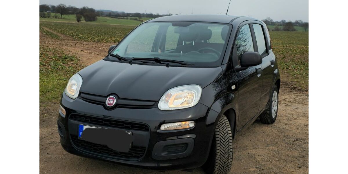 Fiat New Panda 118.996 km 4.599 &euro; Westerrade 23815