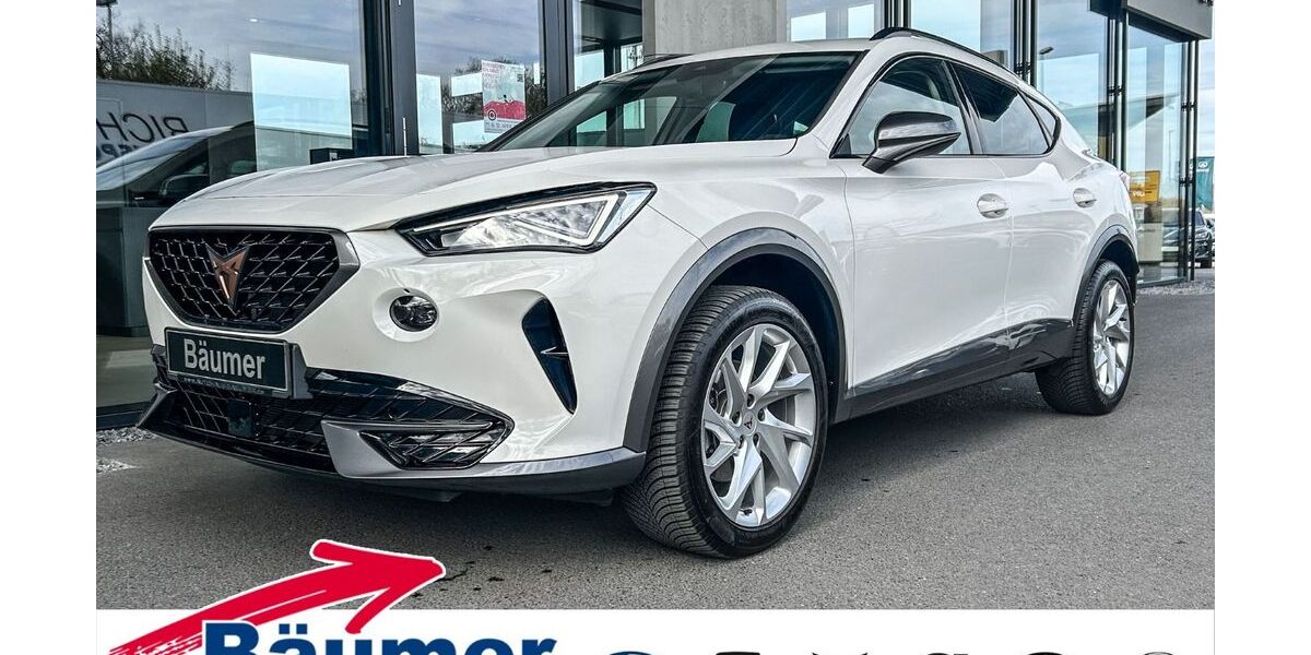 Cupra Formentor 24.959 km 25.890 &euro; Ibbenbüren 49479