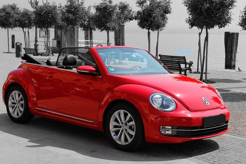 Beetle