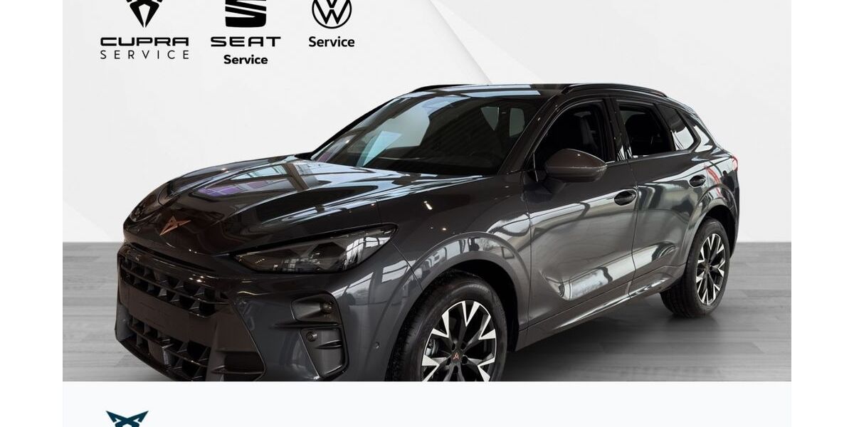 Cupra Terramar 8.000 km 35.950 € Weißenburg in Bayern 91781