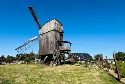 Grundstück zu verkaufen in Ausleben 89.000 € 650 m² zimmer