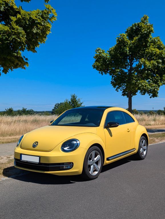 Beetle