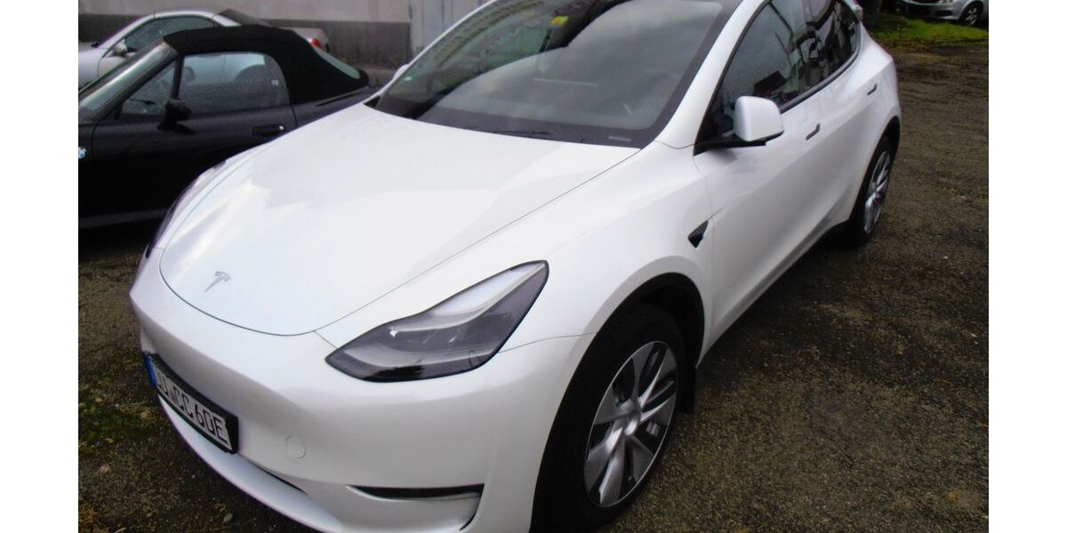 Tesla Model Y 85.000 km 39.900 € Ludwigshafen am Rhein 67071