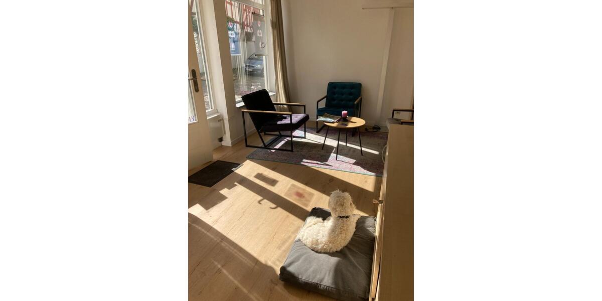 Gewerbeobjekt Michelstadt - 300&euro; | Angebot:24721785