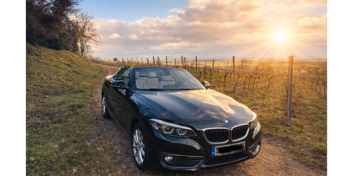 BMW 218 98.000 km 18.000 &euro; Wachenheim 67157