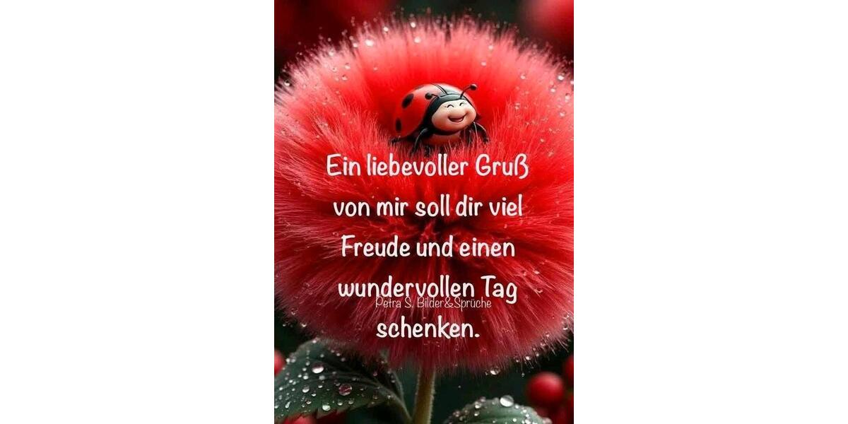Einfamilienhaus Esens - 7 Zimmer, 170 m&sup2;, 1.000&euro; | Angebot:26235024