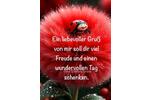 Einfamilienhaus Esens - 7 Zimmer, 170 m&sup2;, 1.000&euro; | Angebot:26235024