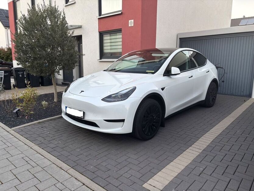 Model Y