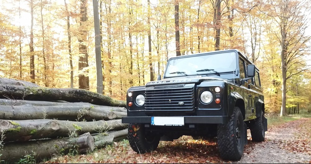 Land Rover Defender 100.000 km 45.000 € Dienheim 55276
