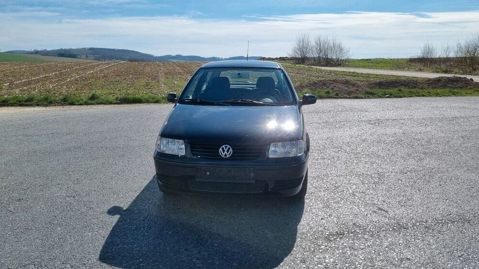 Polo
