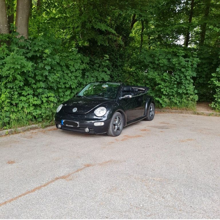 Beetle