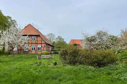 Haus zum Kaufen in Amt Neuhaus 495.000 € 220 m²