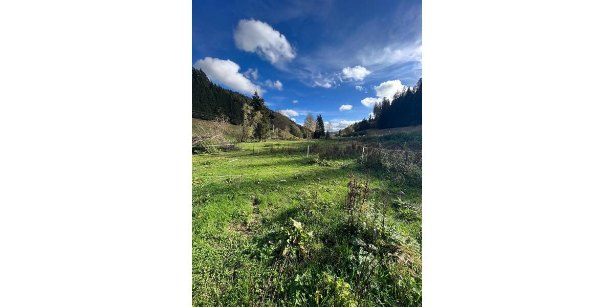 Bauernhaus, Landhaus Furtwangen im Schwarzwald - 6.5 Zimmer, 200 m&sup2;, 1.700&euro; | Angebot:26155420