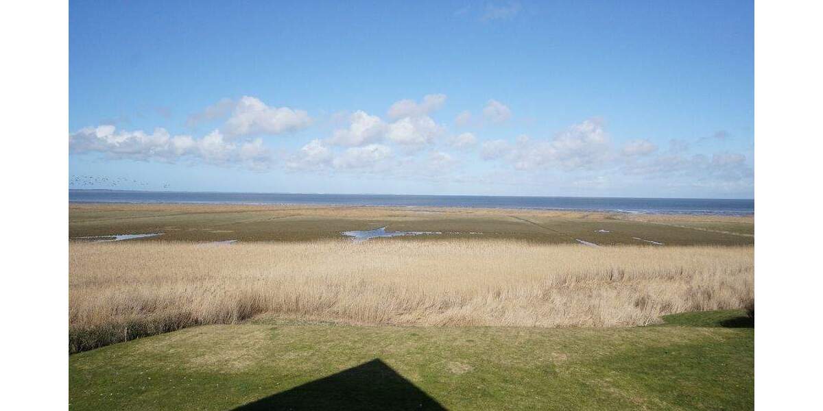 Etagenwohnung Sylt Morsum - 2 Zimmer, 43 m&sup2;, 425.000&euro; | Angebot:25645687