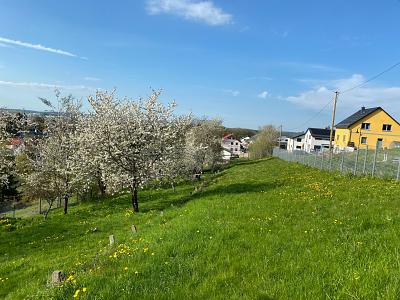 TRAUMGRUNDSTÜCK MIT UNVERBAUBAREM BLICK - Grundstück Ilmenau | Angebot:25213840