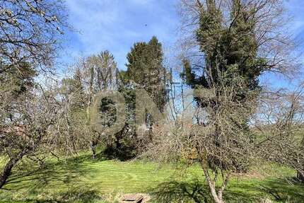 Grundstück Bernhardswald - 250.000&euro; | Angebot:23729294