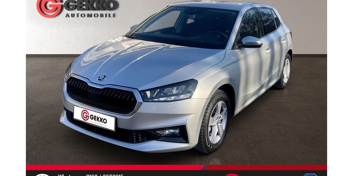 Skoda Fabia 5.927 km 19.969 &euro; Gersthofen 86368