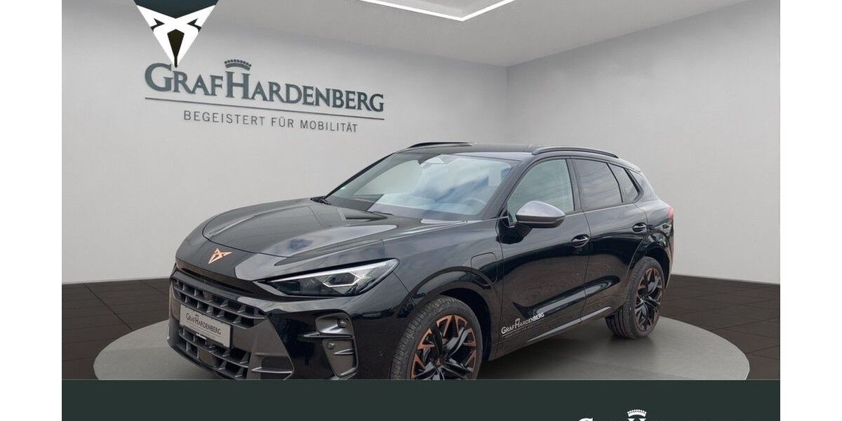 Cupra Terramar 18.864 km 42.990 &euro; Landau 76829