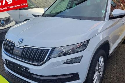 Skoda Kodiaq 163.500 km 17.945 &euro; Halberstadt 38820