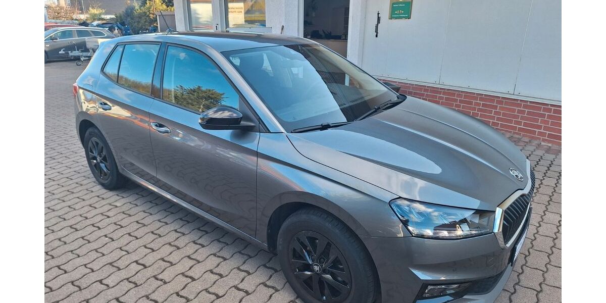 Skoda Fabia 18.855 km 16.490 &euro; Hergisdorf 06313