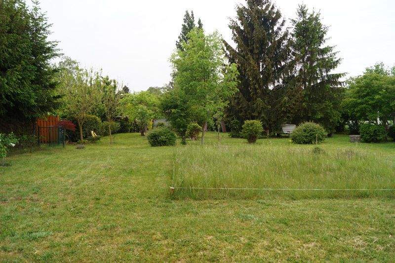 Grundstück in Dabendorf mit Blick auf Feld und Naturschutzgebiet zimmer
