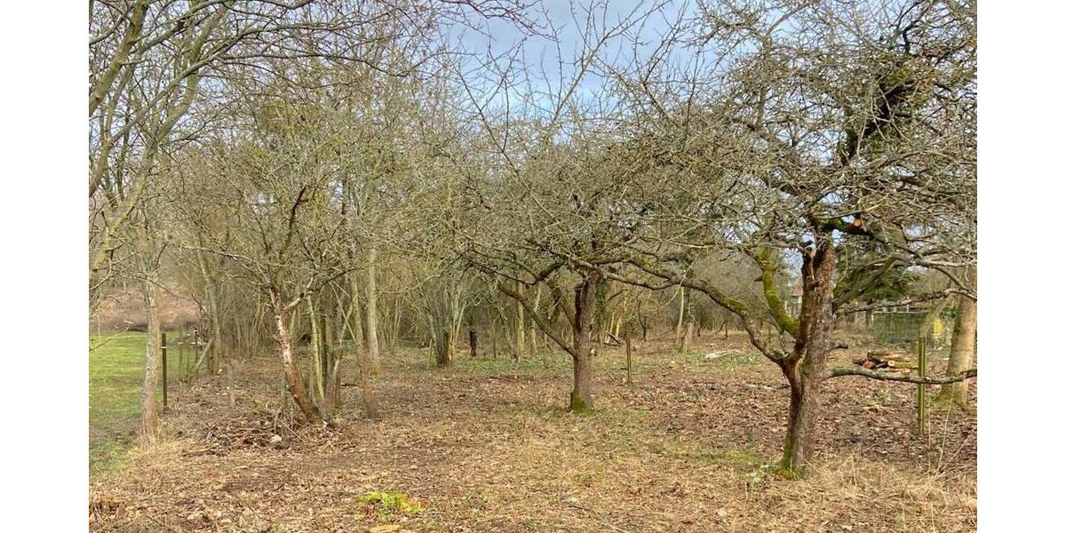 Grundstück Benndorf - 78.000&euro; | Angebot:25701011