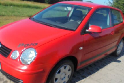 VW Polo 181.000 km 1.999 &euro; Schleifreisen 07629