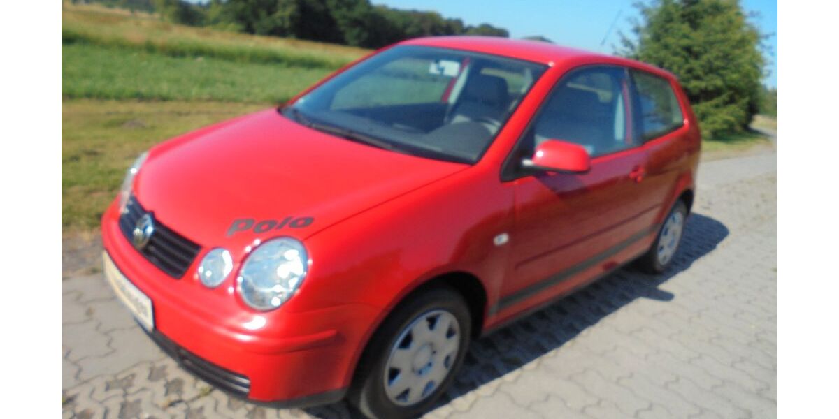 VW Polo 181.000 km 1.999 &euro; Schleifreisen 07629