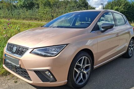 Seat Ibiza 95.850 km 10.999 &euro; Pölitz 23847