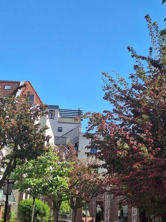 Wohnung zum Kaufen in Berlin 580.000 € 62 m²