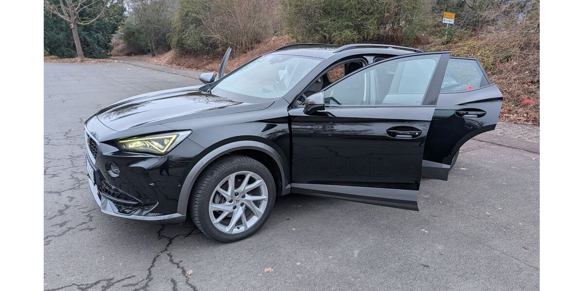 Cupra Formentor 17.020 km 27.500 &euro; Trier 54293