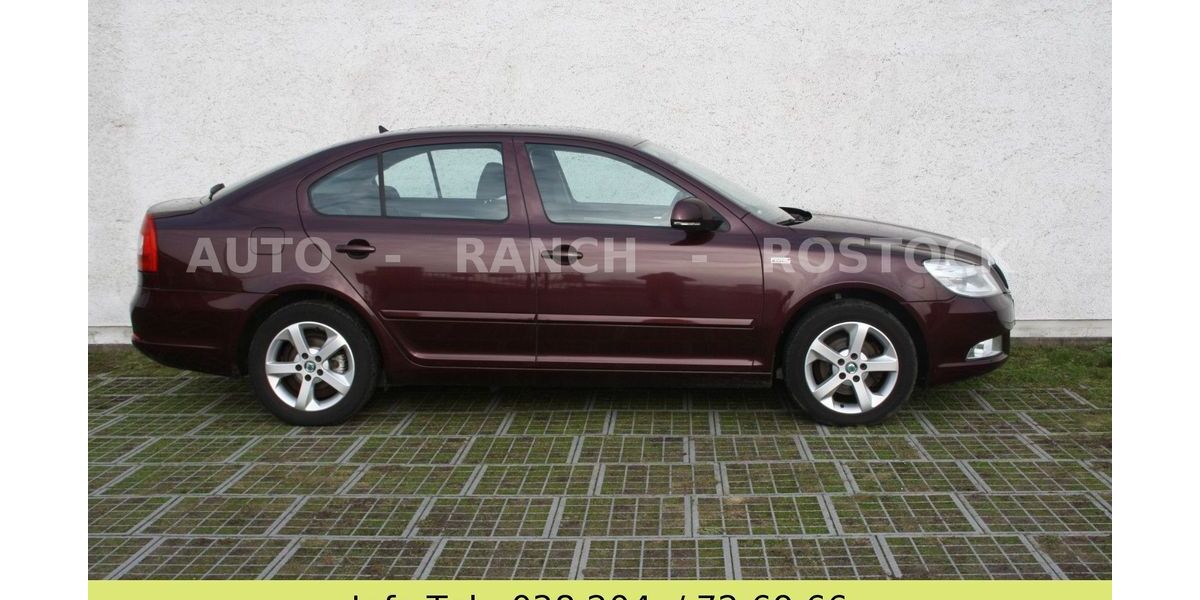 Skoda Octavia 270.000 km 4.350 &euro; Broderstorf OT Pastow 18184