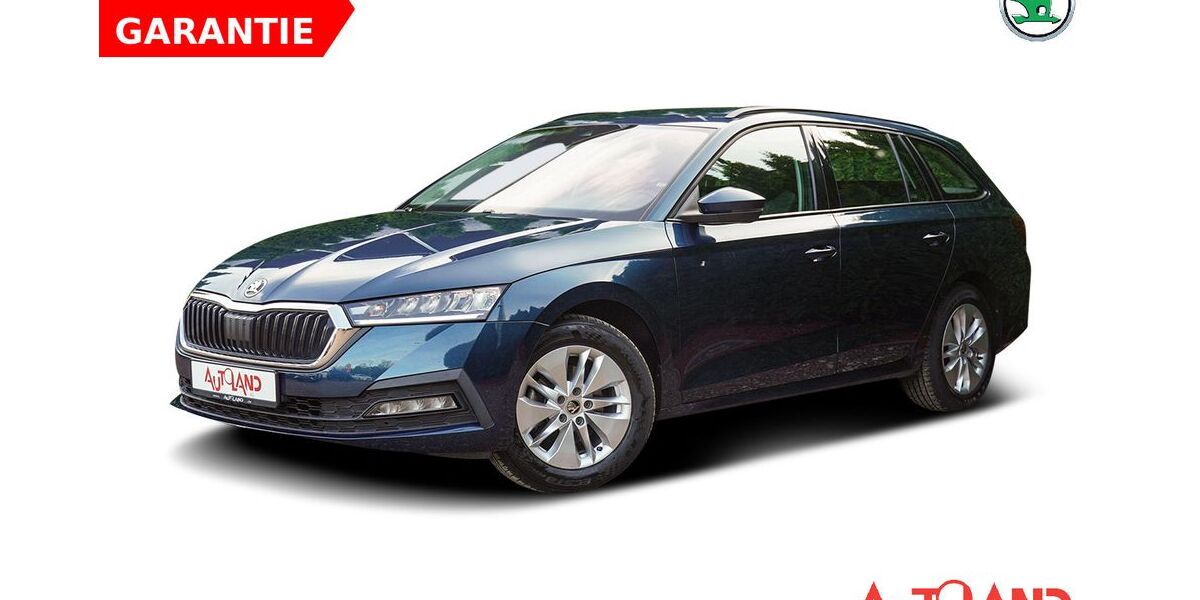 Skoda Octavia 102.896 km 19.990 &euro; Zwickau 08056